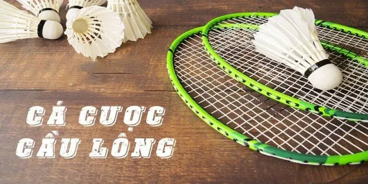 Cá Cược Cầu Lông Tại BONGVIP: Bí Quyết Thắng Lớn Trong Tầm Tay